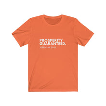 Load image into Gallery viewer, Prosperity Jeremiah 29:11 Christian Jersey Short Sleeve Tee