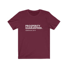 Load image into Gallery viewer, Prosperity Jeremiah 29:11 Christian Jersey Short Sleeve Tee