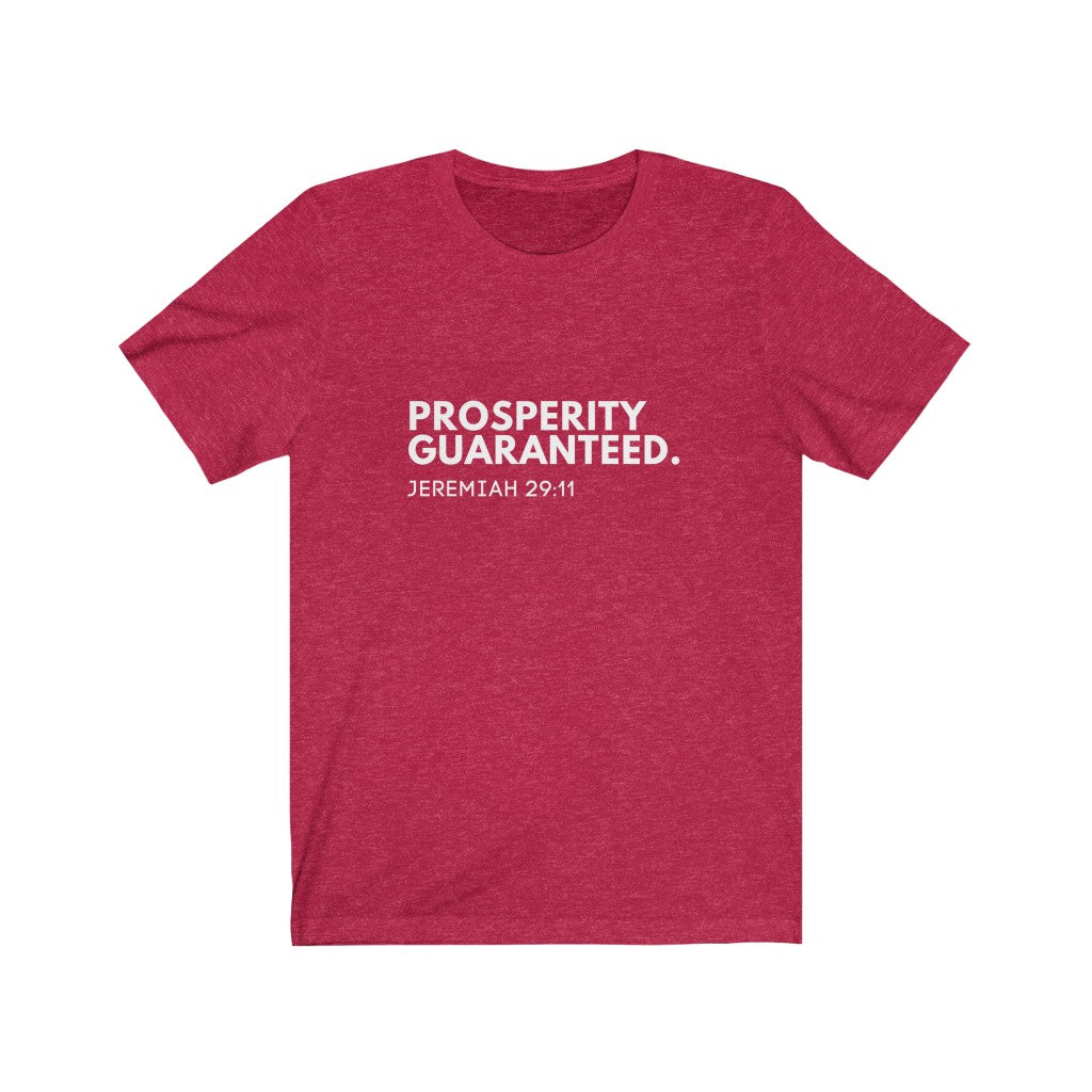 Prosperity Jeremiah 29:11 Christian Jersey Short Sleeve Tee
