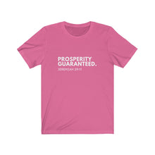 Load image into Gallery viewer, Prosperity Jeremiah 29:11 Christian Jersey Short Sleeve Tee
